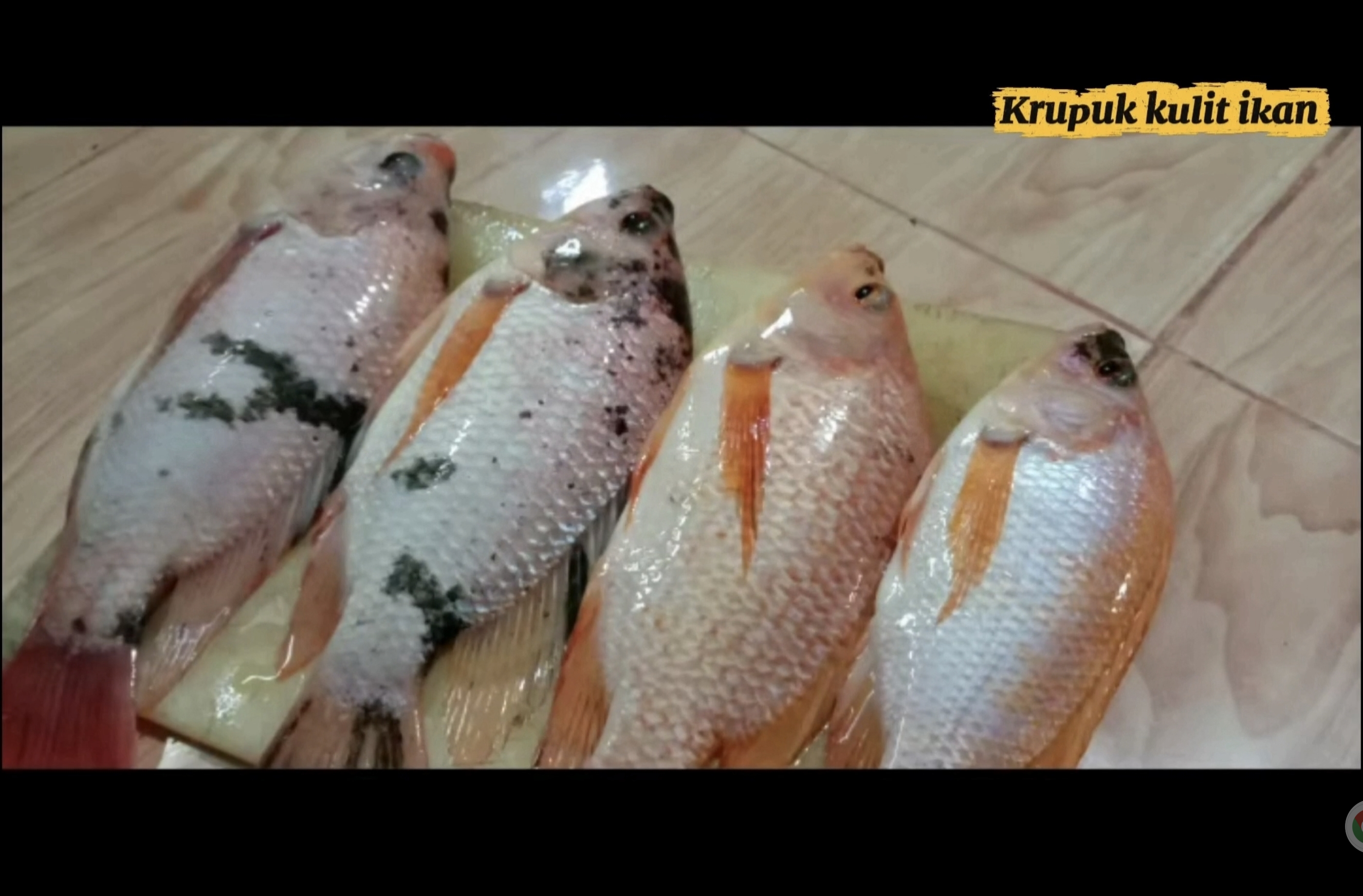 Diversifikasi Produk Perikanan